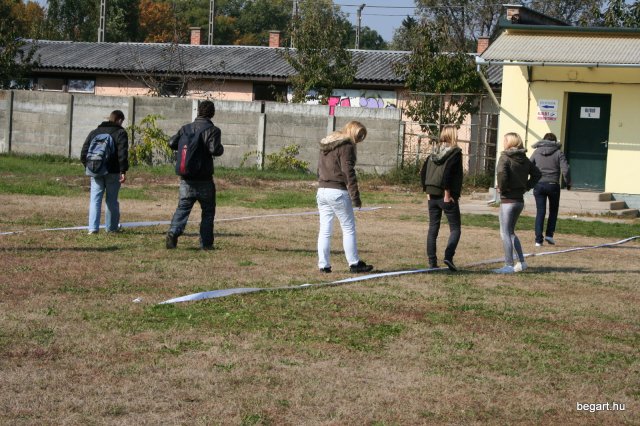 2010 Gólyanap