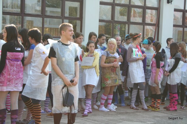 2010 Gólyanap