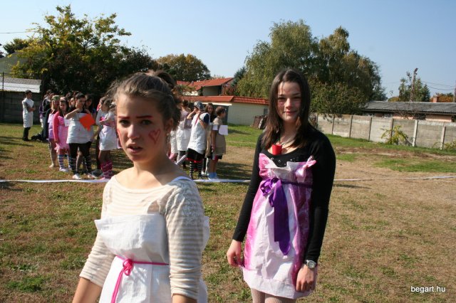 2010 Gólyanap