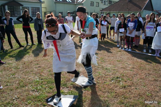 2010 Gólyanap