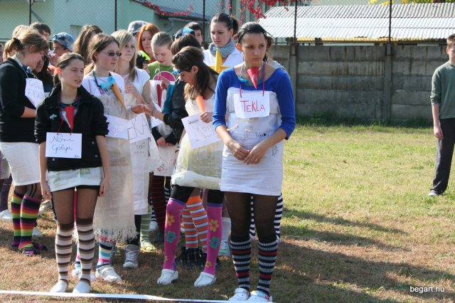 2010 Gólyanap