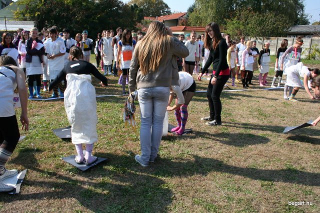2010 Gólyanap