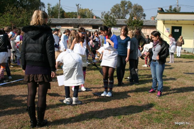 2010 Gólyanap