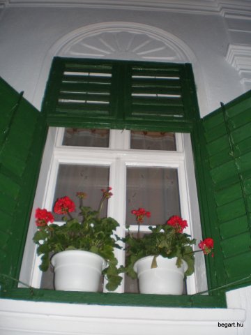 2010 Legek kirándulása