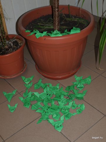 Csendes nap alsó évfolyam