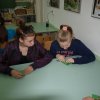 Csendes nap alsó évfolyam