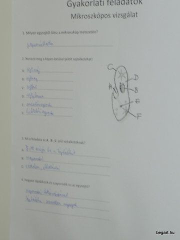 Komplex TTK vetélkedő 2012