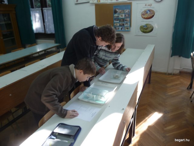 Komplex TTK vetélkedő 2012
