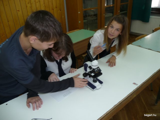 Komplex TTK vetélkedő 2012
