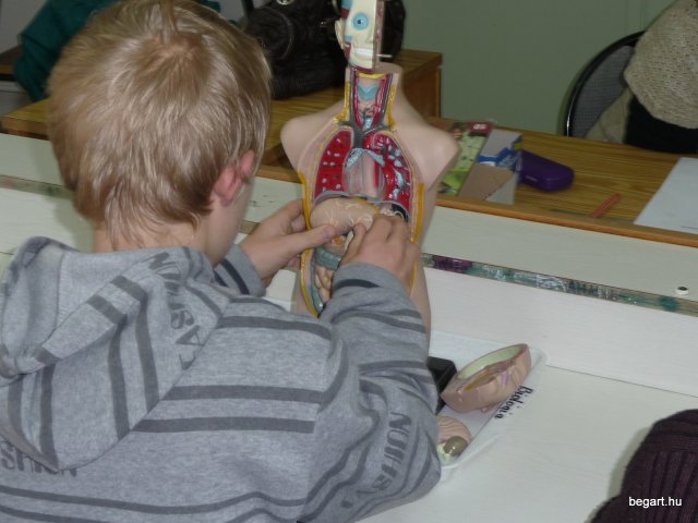 Komplex TTK vetélkedő 2012