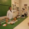 Wigner Jenő Országos Fizikai Feladatmegoldó Verseny