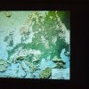 Wigner Jenő Országos Fizikai Feladatmegoldó Verseny