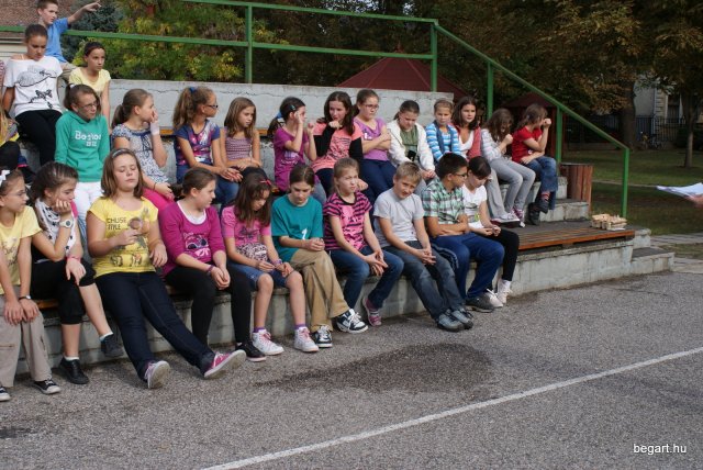 Gólya buli
