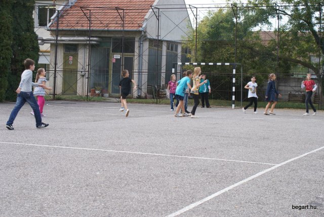 Gólya buli