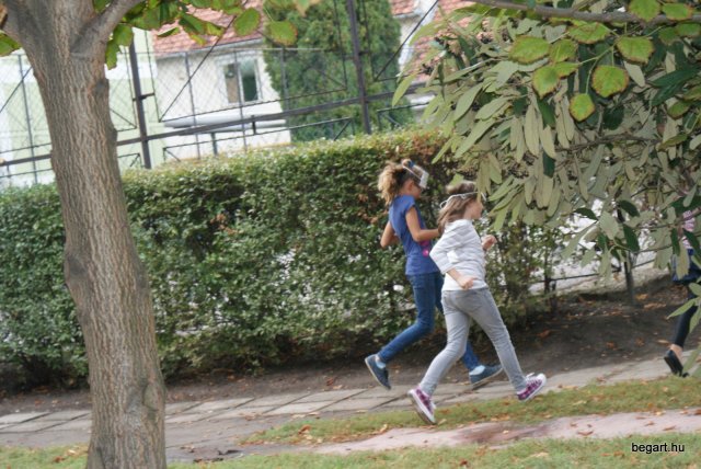 Gólya buli