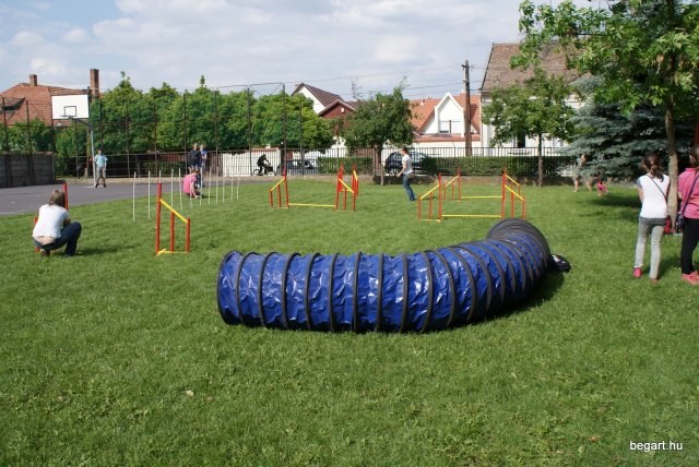 Gyereknap