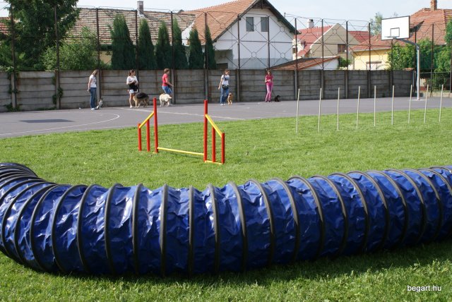 Gyereknap