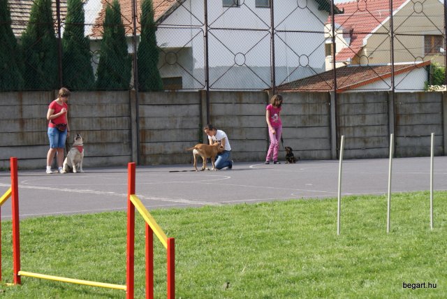 Gyereknap