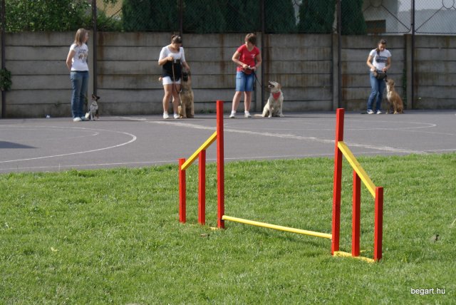 Gyereknap