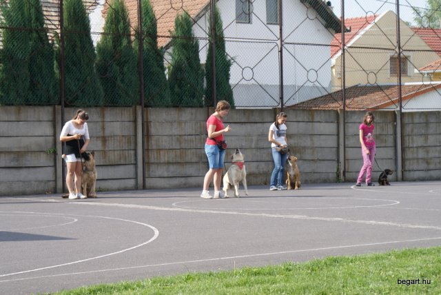 Gyereknap