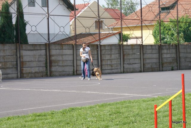 Gyereknap