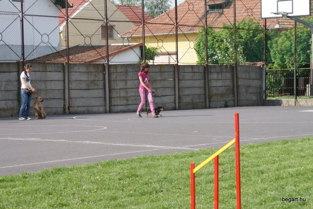 Gyereknap