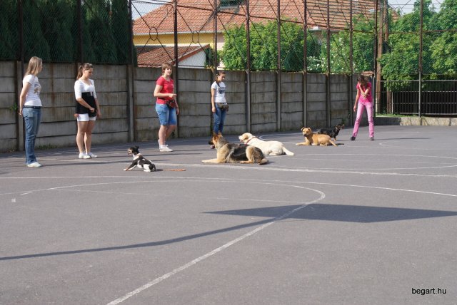 Gyereknap
