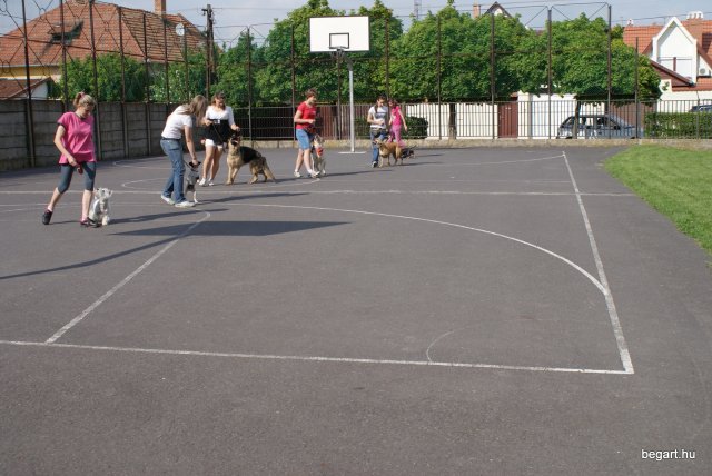 Gyereknap