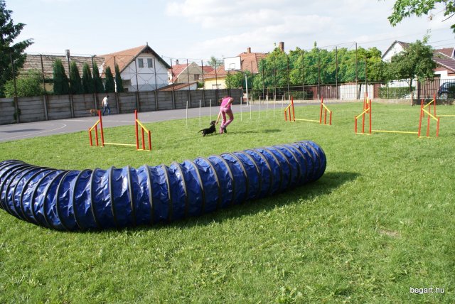 Gyereknap