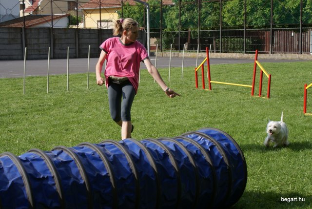 Gyereknap