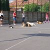 Gyereknap