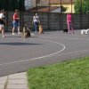 Gyereknap