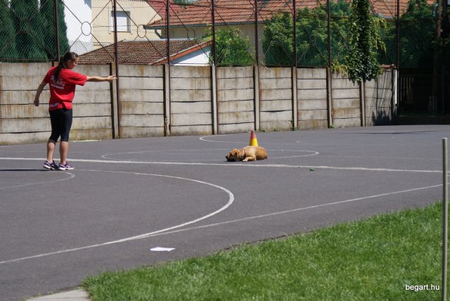 DÖK nap 