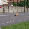 DÖK nap 