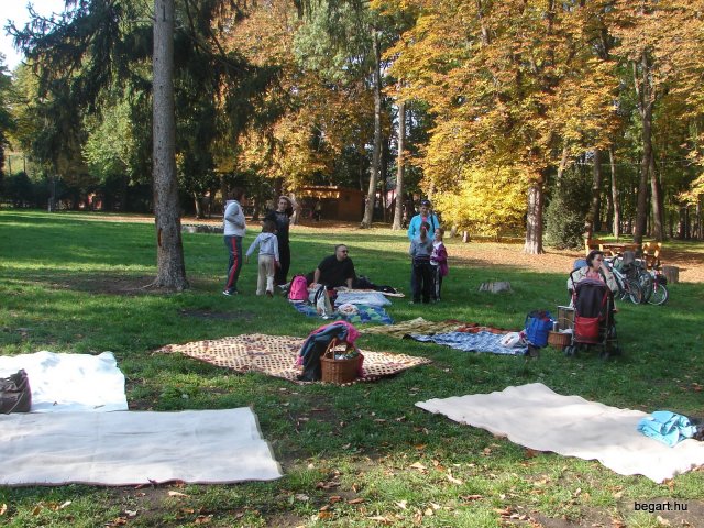 Családi nap