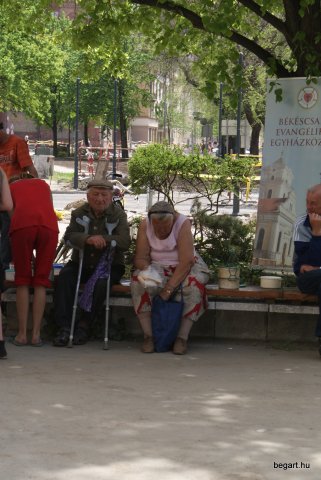 Ingyen ételosztás