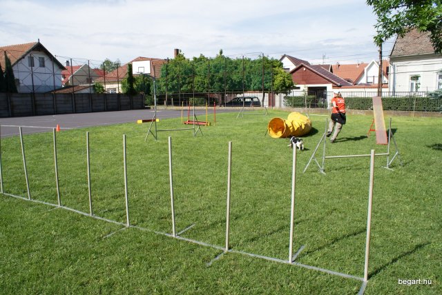 Gyereknap