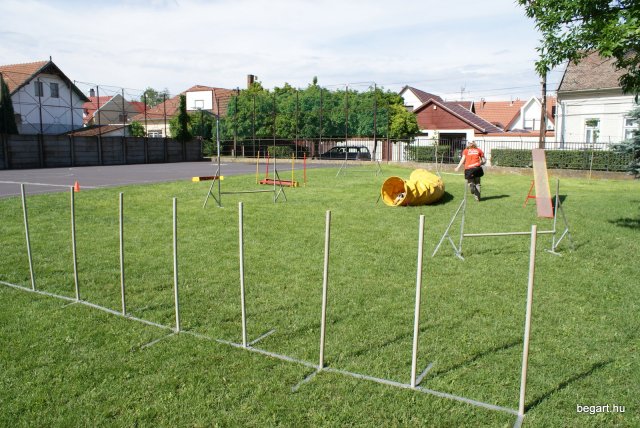 Gyereknap