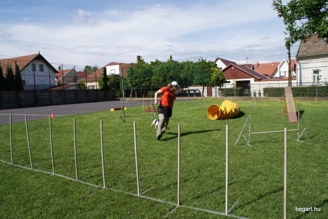 Gyereknap