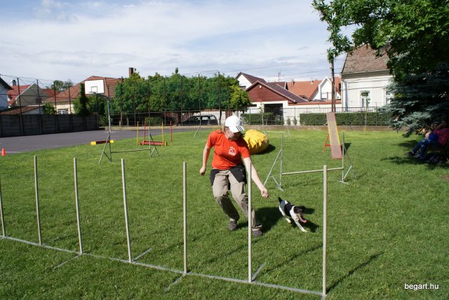 Gyereknap