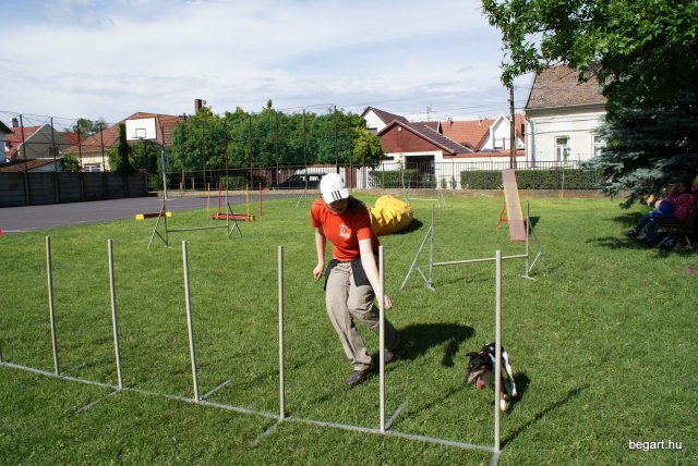 Gyereknap