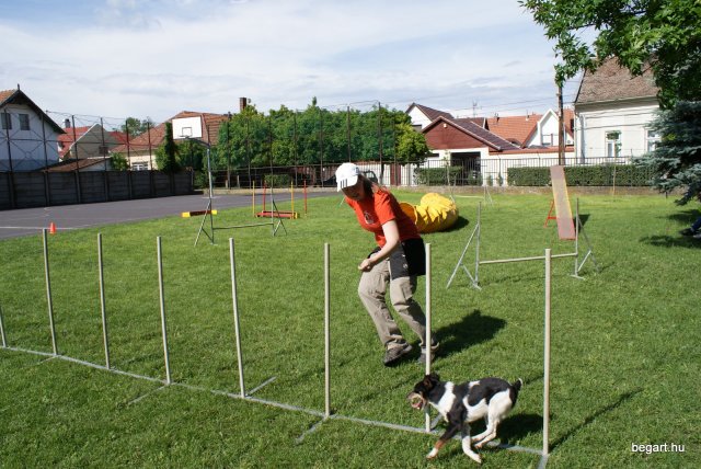 Gyereknap