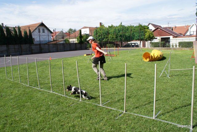 Gyereknap