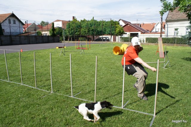 Gyereknap