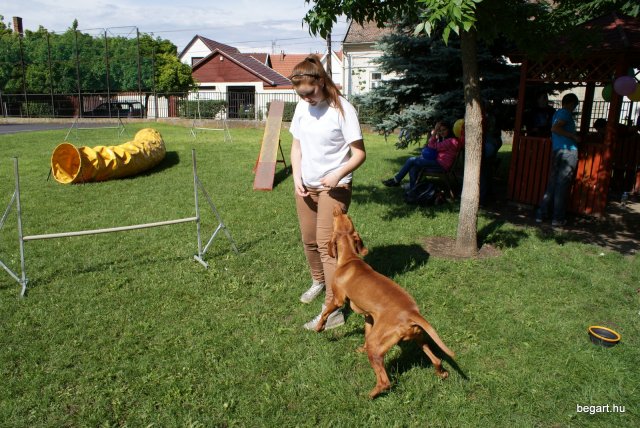Gyereknap