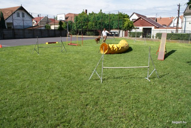Gyereknap