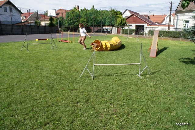 Gyereknap