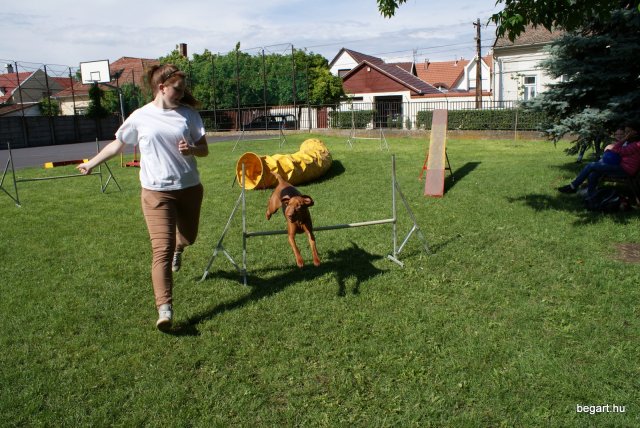 Gyereknap