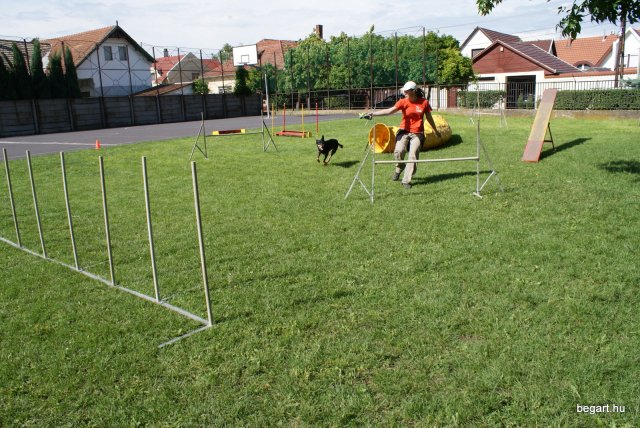 Gyereknap