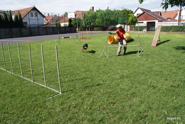Gyereknap